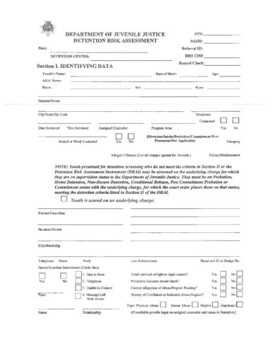 Juvenile Detention Risk Assessment Instrument - Bryce A. Fetter