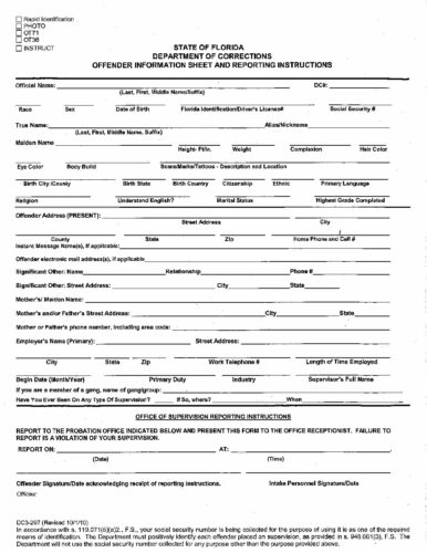 Monthly Report Probation Form Fill Out And Sign Print - vrogue.co